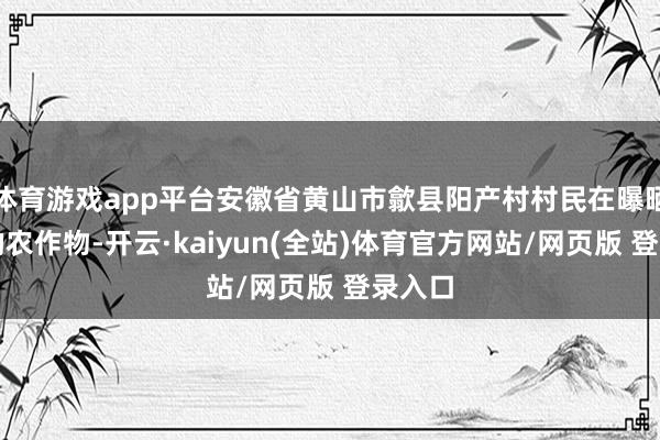 体育游戏app平台安徽省黄山市歙县阳产村村民在曝晒收成的农作物-开云·kaiyun(全站)体育官方网站/网页版 登录入口